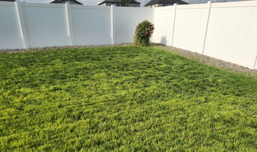 LAWN CARE SERVICES